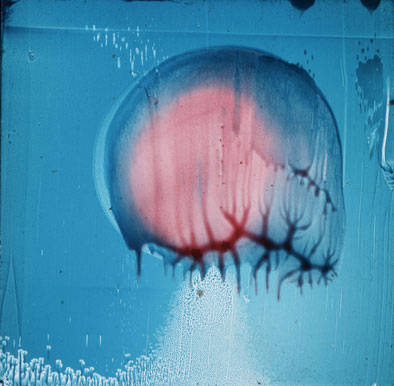 oilpaint, slides, lightbox, art, light objects, visuals, duratrans