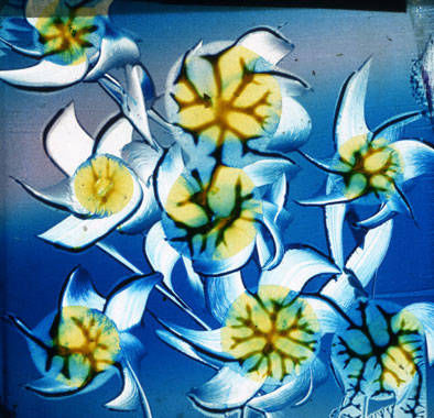 oilpaint, slides, lightbox, art, light objects, visuals, duratrans